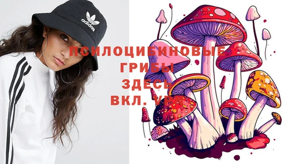 первитин Верхний Тагил