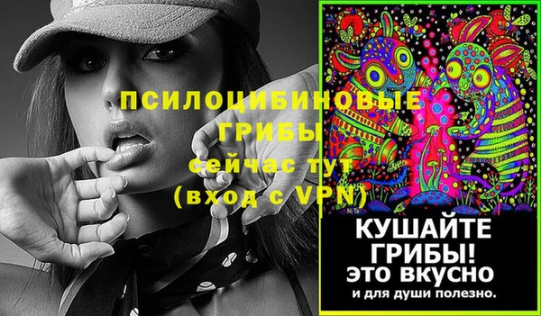 дурь Володарск